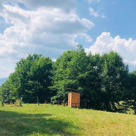 Hotel La Container Curtea de Argeş Zewnętrze zdjęcie