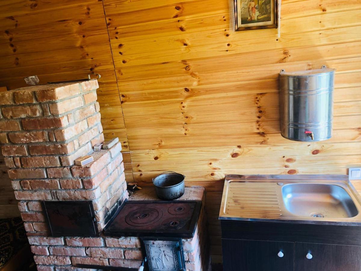 Hotel La Container Curtea de Argeş Zewnętrze zdjęcie