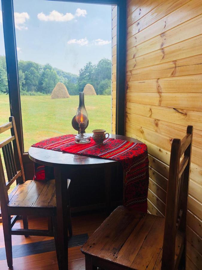 Hotel La Container Curtea de Argeş Zewnętrze zdjęcie