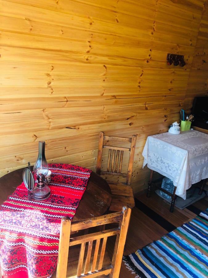 Hotel La Container Curtea de Argeş Zewnętrze zdjęcie