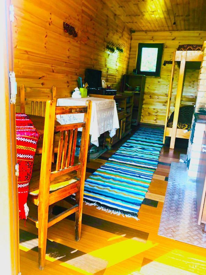 Hotel La Container Curtea de Argeş Zewnętrze zdjęcie